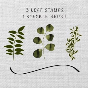 May include: Three green leaf stamps and a speckle brush. The leaf stamps are in different styles, including a fern, a eucalyptus, and a small branch. The speckle brush is a black line.