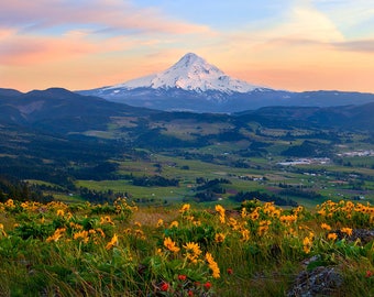 Spring Bouquet - Hood River, Mt Hood View, Wildflowers, Oregon, Sunset View, Metal, Fine Art, Landscape, Photo