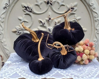 Velvet Pumpkins with Real Dried Pumpkin Stems-BLACK; 20 colors in six sizes. 10 percent off 5 or more.