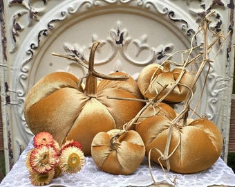 NEW color for 2026! Velvet Pumpkins with Real Dried Pumpkin Stems-CARAMEL; over 20 colors in six sizes. 10 percent off 5 or more.,