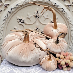 Velvet Pumpkins with Real Dried Pumpkin Stems-CHAMPAGNE BEIGE; 20 colors in six sizes. 10 percent off 5 or more.