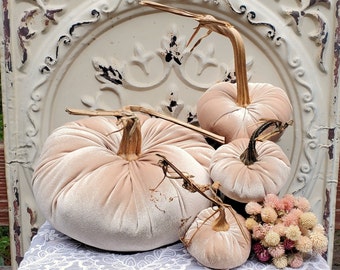 Velvet Pumpkins with Real Dried Pumpkin Stems-CHAMPAGNE BEIGE; 20 colors in six sizes. 10 percent off 5 or more.