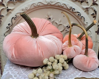Velvet Pumpkins