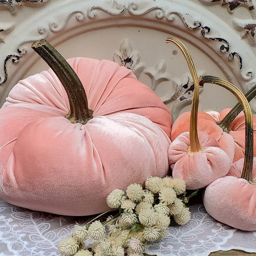 Velvet Pumpkins With Real Dried Pumpkin Stemschampagne BEIGE Etsy