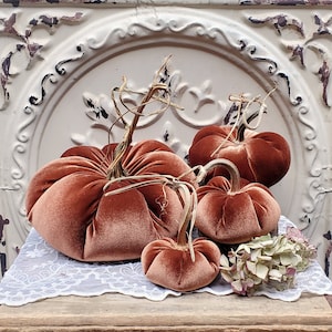 Puede incluir: Cuatro calabazas de terciopelo de color óxido de diferentes tamaños, cada una con un tallo seco, están dispuestas sobre una superficie ribeteada de encaje. Un pequeño manojo de flores secas está a la derecha. Las calabazas son un tema decorativo de otoño o Acción de Gracias.