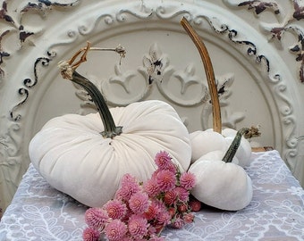 Velvet Pumpkins with Real Dried Pumpkin Stems-CREAMY WHITE; 20 colors in six sizes. 10 percent off 5 or more.
