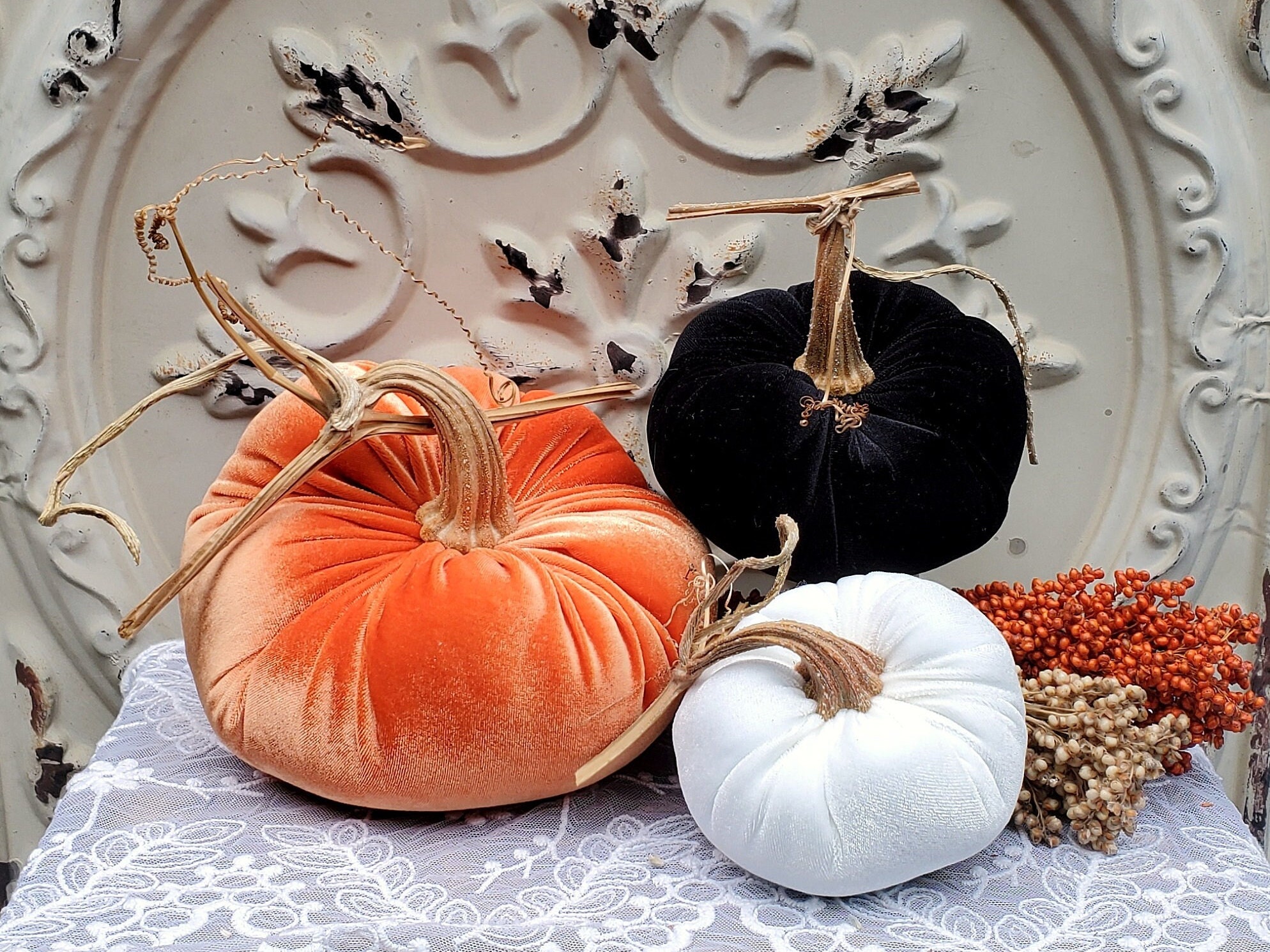 Citrouilles De velours