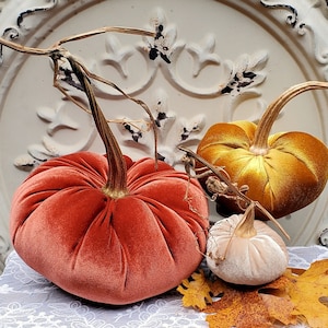Velvet Pumpkins with Real Dried Pumpkin Stems in Fall Colors. Sold as a convenient set of three: Rust, Gold and Champagne Beige.