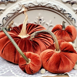 Velvet Pumpkins with Real Dried Pumpkin Stems-RUST; 20 color options in six sizes. 10 percent off 5 or more.