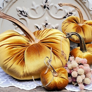 Velvet Pumpkins with Real Dried Pumpkin Stems-GOLD; 20 color options in six sizes. 10 percent off 5 or more.