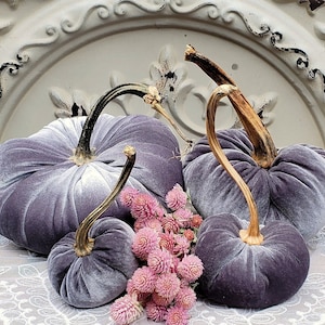 Può includere: Quattro zucche di velluto peluche in varie dimensioni e tonalità di viola, con steli secchi. Un gruppo di fiori rosa si trova tra le zucche. Le zucche sono disposte su una superficie bianca ricoperta di pizzo, contro uno sfondo bianco ornato e invecchiato.