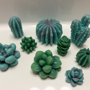 Succulents & Cacti - Scented Wax Melts
