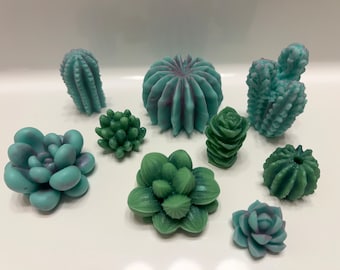 Succulents & Cacti - Scented Wax Melts