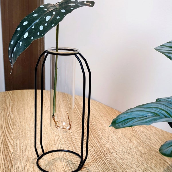 Iron Plant Propagation Station, Hydroponic Plant Vase, Iron Houseplant Stand, Plant Test Tube Rack, Wall Hanging & Tabletop,Plant Lover Gift