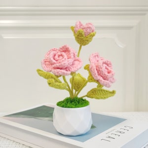 Handcrafted Crochet Flower Pots, Unique Gifts for Women, Knitted Roses, Tulips, Pumpkins, and Heart-Shaped Arrangements for Desktop Display