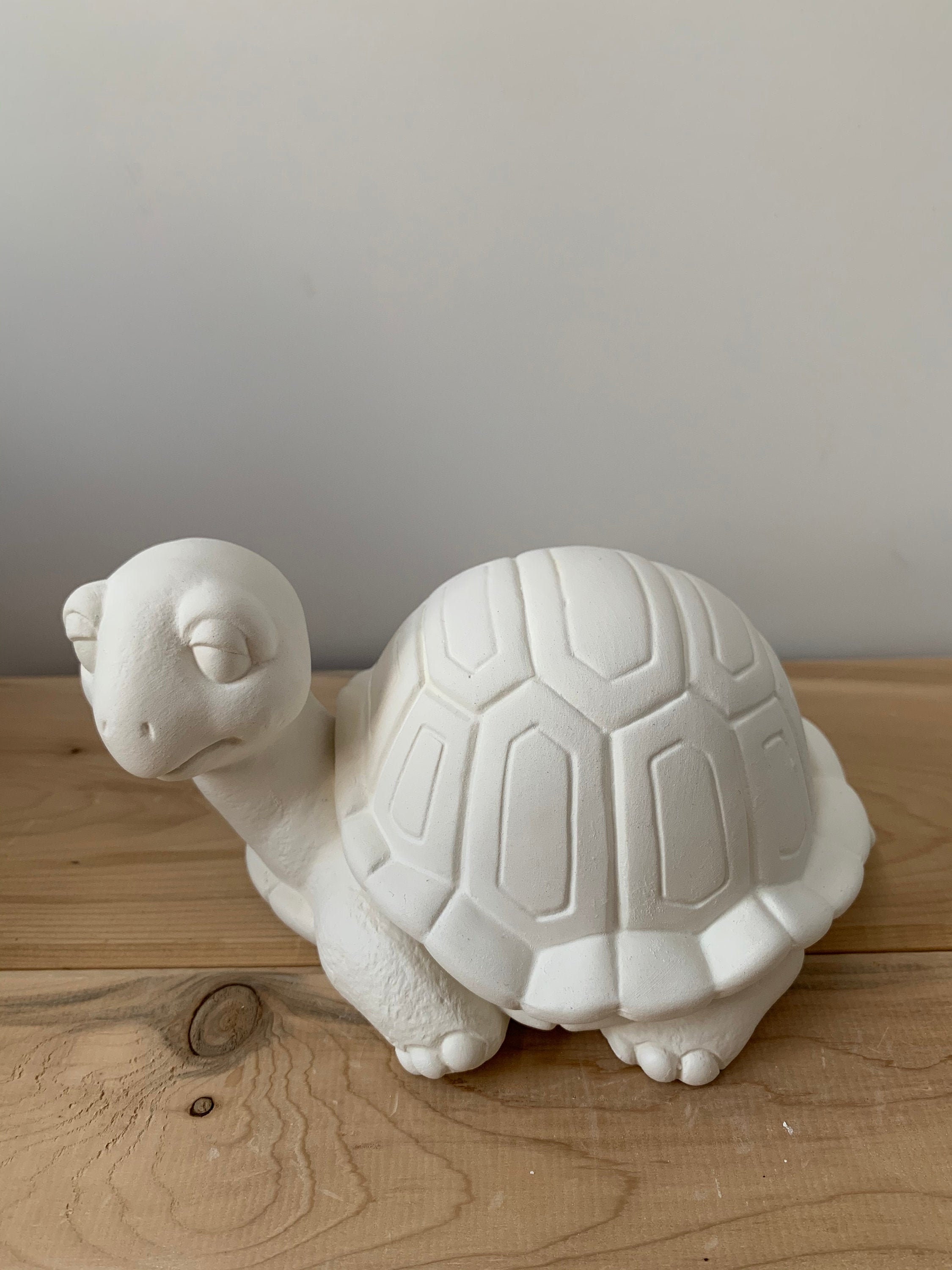 Unpainted Ceramic Turtle Box with removable shell lid Paint Etsy