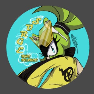 Sonic Riders Surge FANART Pinback Button