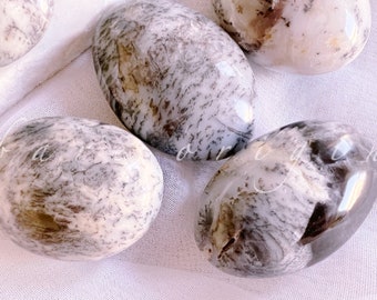 Dendritic Agate Palm Stone: Calming Crystal