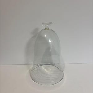 May include: A clear glass cloche with a floral handle. The bell-shaped cover is designed to protect and display items. The cloche sits on a white surface, offering a clean and elegant presentation.
