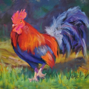 Struttin&#39; Rooster, Kauai