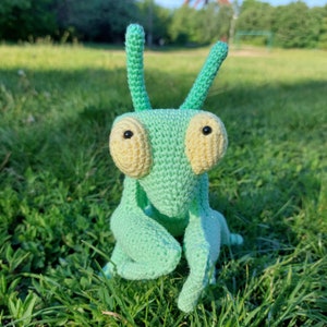 May include: A green crocheted praying mantis toy with yellow eyes. The toy is sitting in a grassy area.