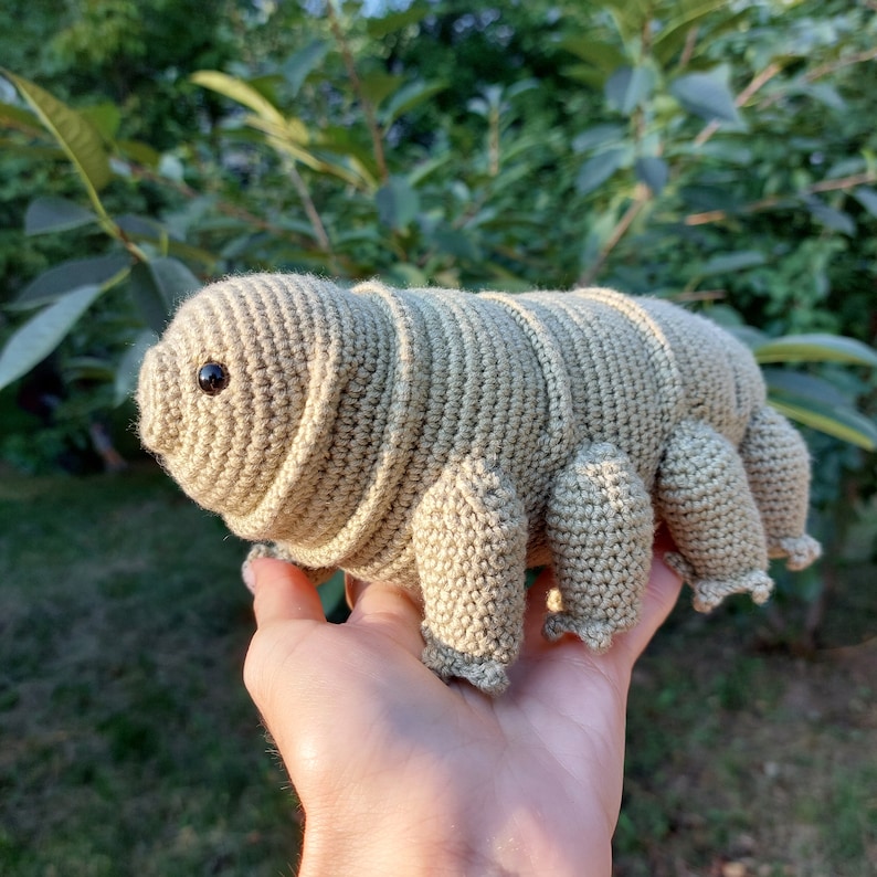 To Custom Order Tardigrade Crocheted Toy, Amigurumi Tardigrade Water Bear Plush image 9