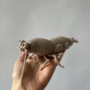 Shrimp Crocheted Toy, Prawn plushy