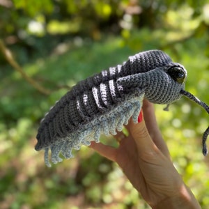 Trilobite Crochet Pattern, Amigurumi Trilobite PDF file in English image 10