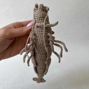 Crochet lifelike Shrimp, Prawn Pattern, PDF file in English language image 6