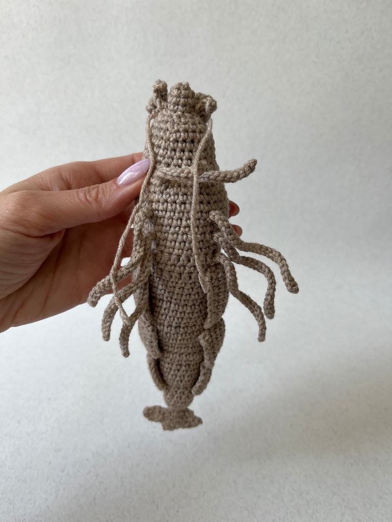 Crochet lifelike Shrimp, Prawn Pattern, PDF file in English language image 6