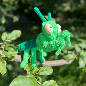 May include: A green crocheted praying mantis toy with white eyes, perched on a branch of a green leafy tree.