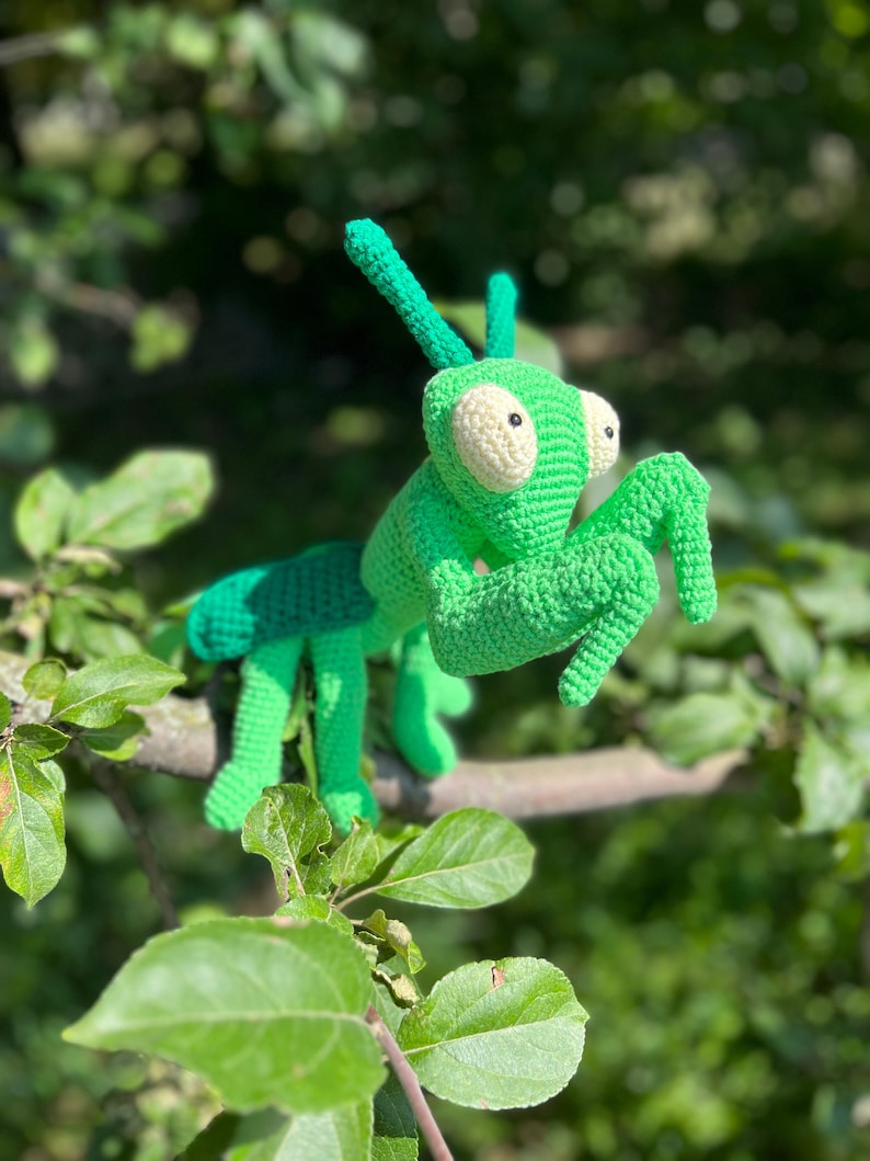 May include: A green crocheted praying mantis toy with white eyes, perched on a branch of a green leafy tree.