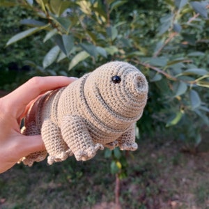 Tardigrade or Water Bear Amigurumi Crochet Pattern, PDF file in English language image 7