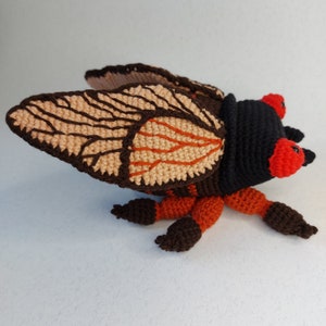 May include: A crocheted cicada plush toy with brown and orange legs, black and brown wings, and red eyes.