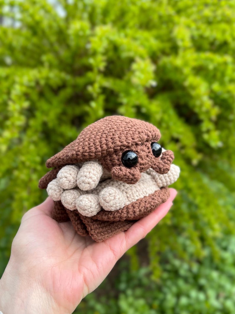 May include: A crocheted pill bug toy featuring a brown segmented shell and light beige underside legs. The creature has two large, round, glossy black eyes positioned on the front of its head. The item is crafted with visible yarn stitches.