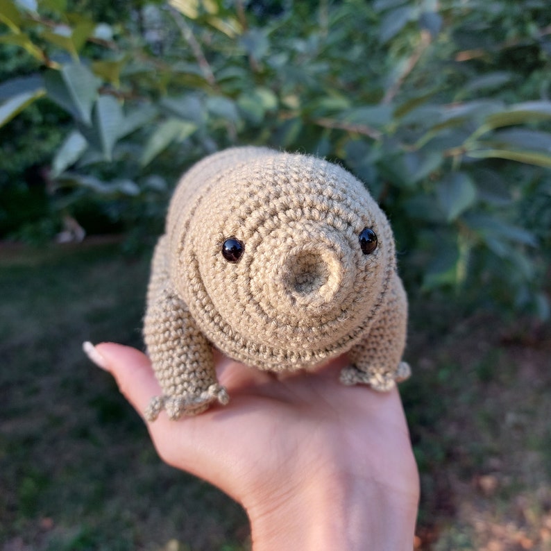 Tardigrade or Water Bear Amigurumi Crochet Pattern, PDF file in English language image 9