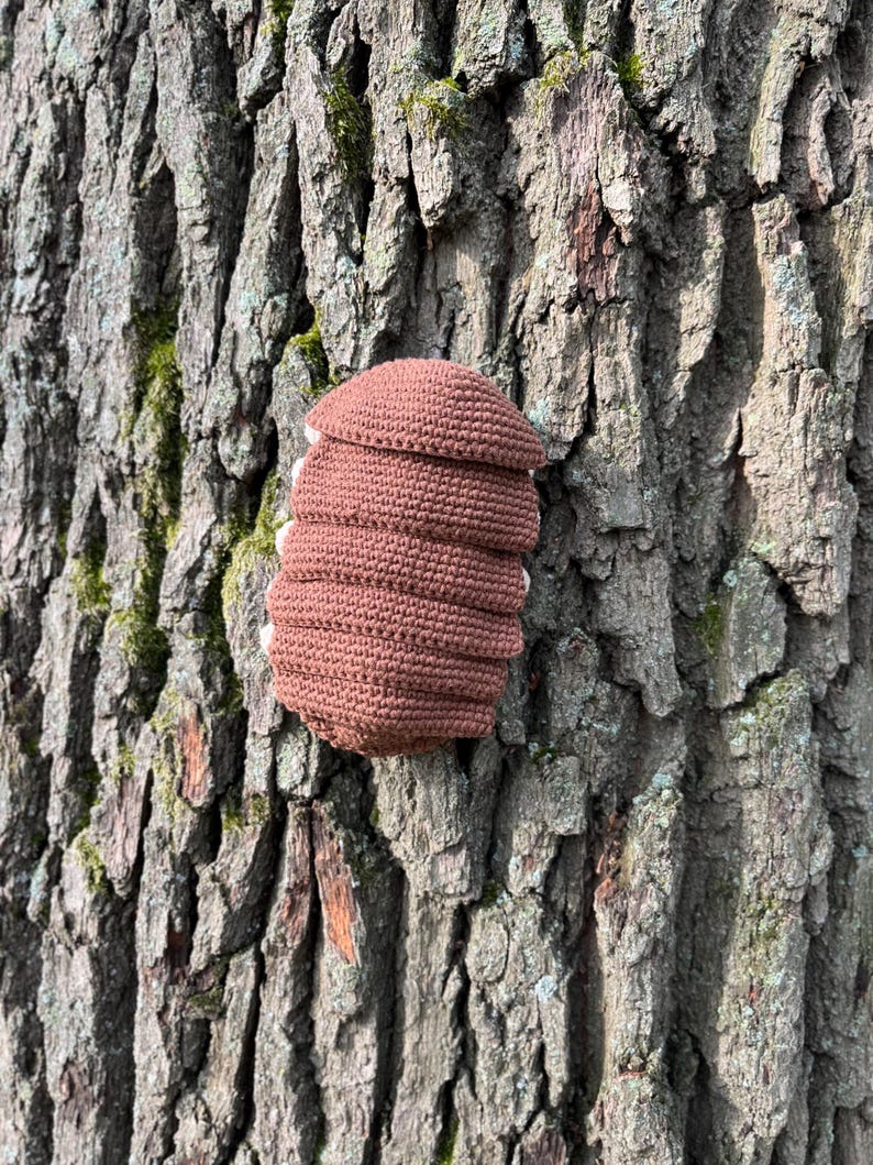 May include: A brown crocheted woodlouse toy featuring a segmented, rounded body with visible stitch patterns. The small, stuffed creature has a curved, dome-like shape and is crafted from yarn, displaying a textured surface throughout its entire form.