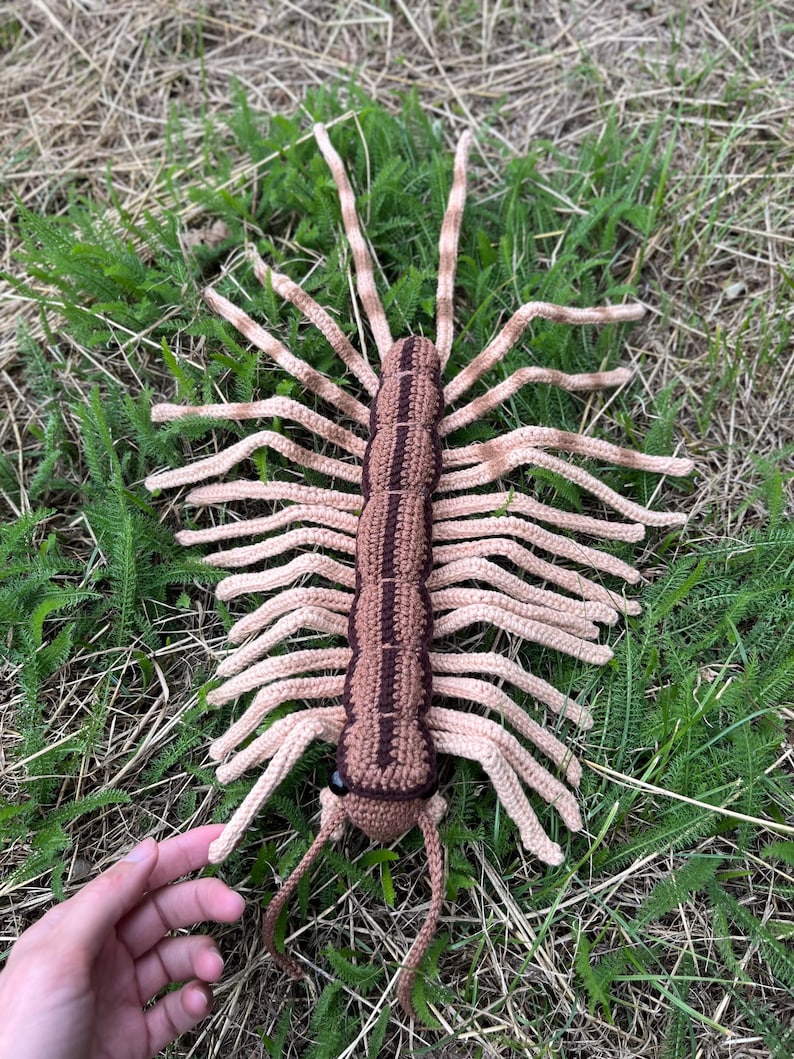 House Centipede Crochet Pattern: Amigurumi Arthropod Toy (PDF Pattern ...