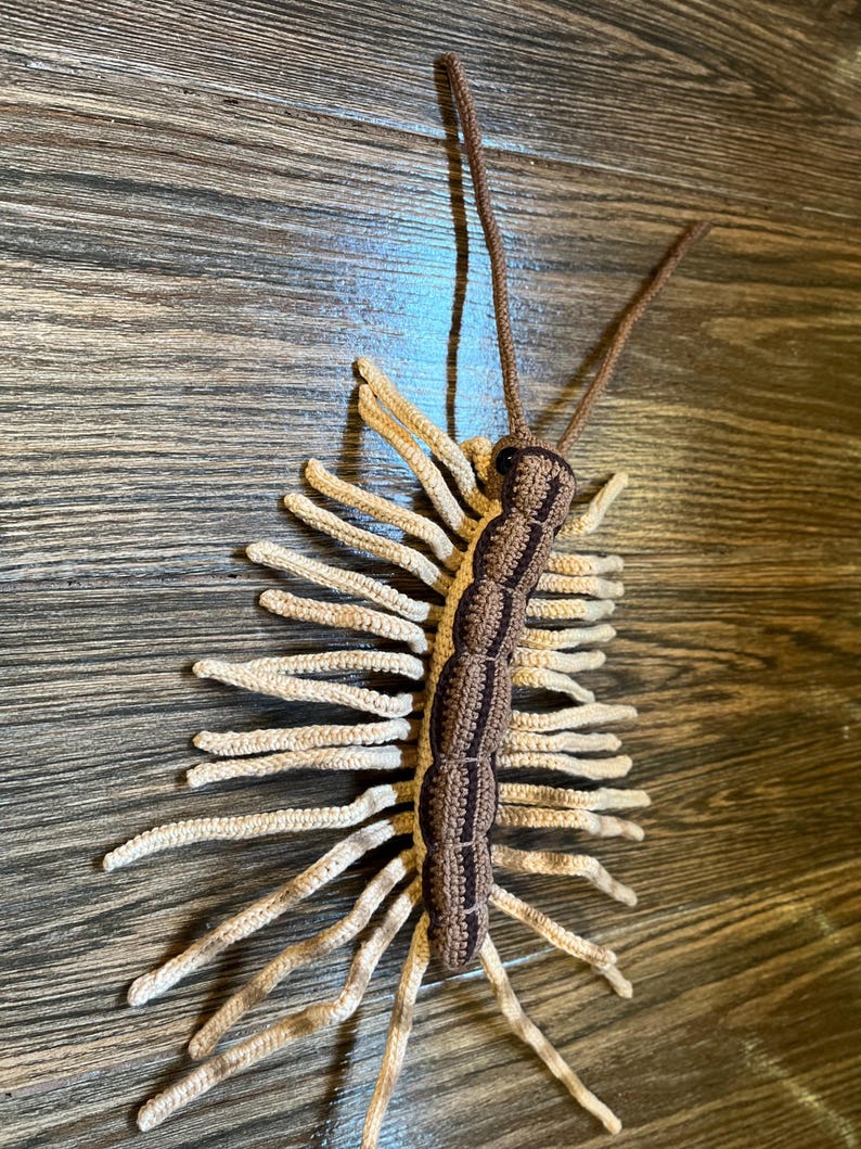 House Centipede Crochet Pattern: Amigurumi Arthropod Toy (PDF Pattern ...