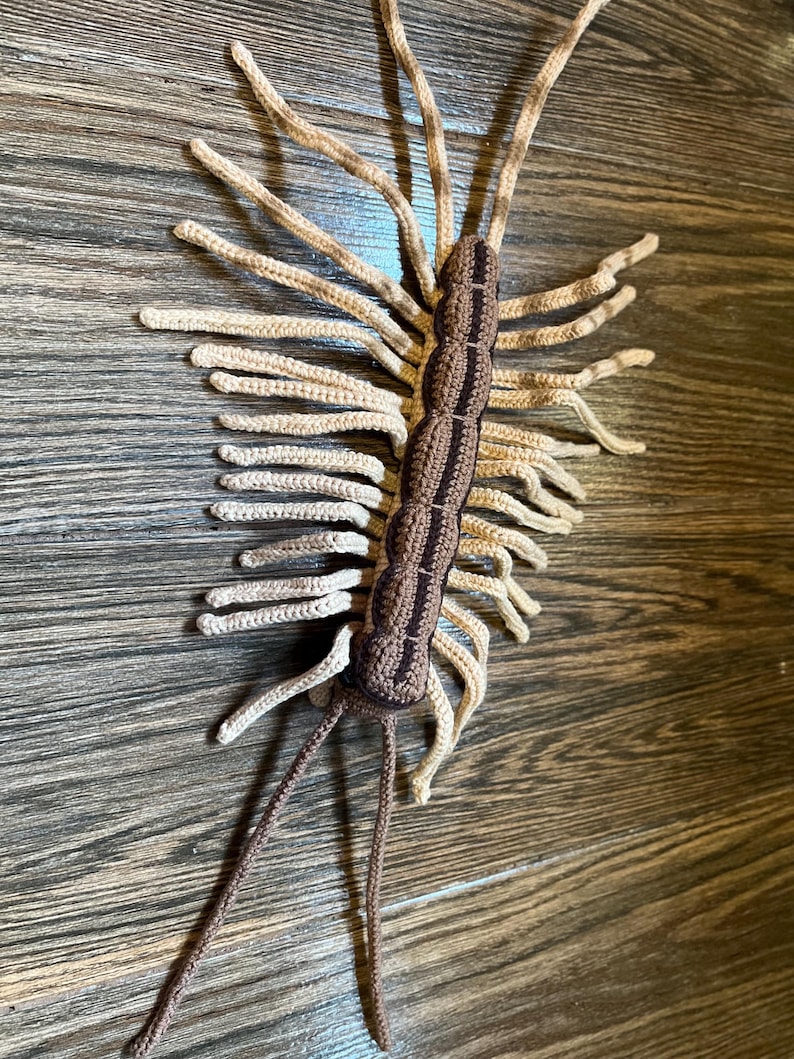 House Centipede Crochet Pattern: Amigurumi Arthropod Toy (PDF Pattern ...