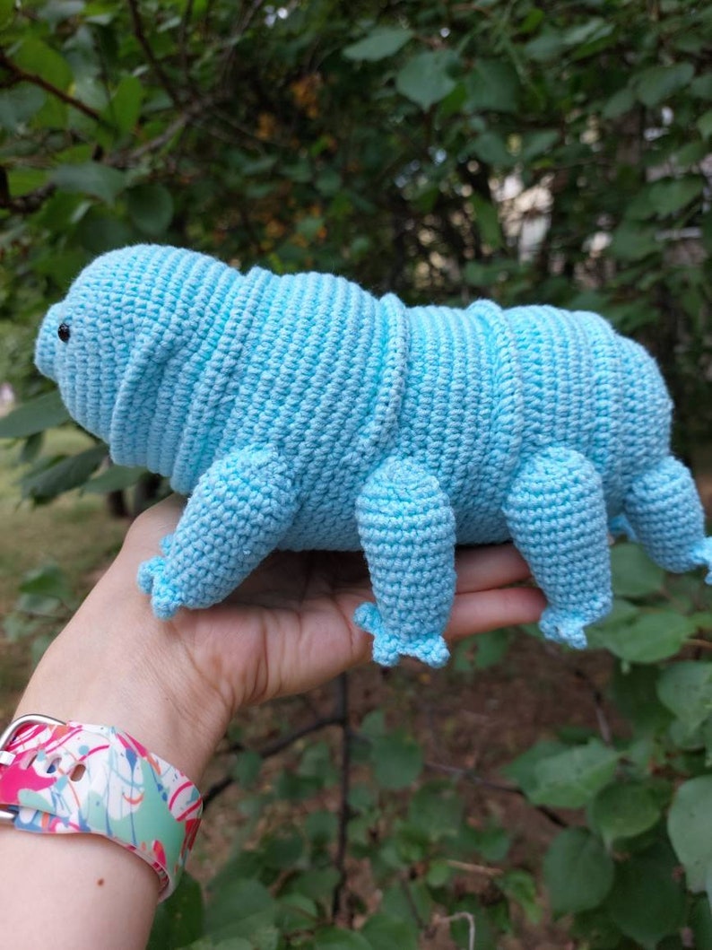 To Custom Order Tardigrade Crocheted Toy, Amigurumi Tardigrade Water Bear Plush image 7