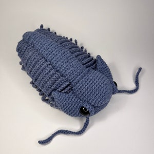 Trilobite Crochet Pattern, Amigurumi Trilobite PDF file in English image 6