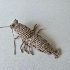 Crochet lifelike Shrimp, Prawn Pattern, PDF file in English language image 5