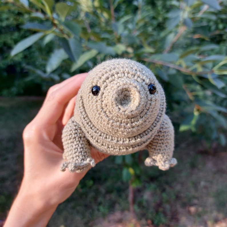 Tardigrade or Water Bear Amigurumi Crochet Pattern, PDF file in English language image 3