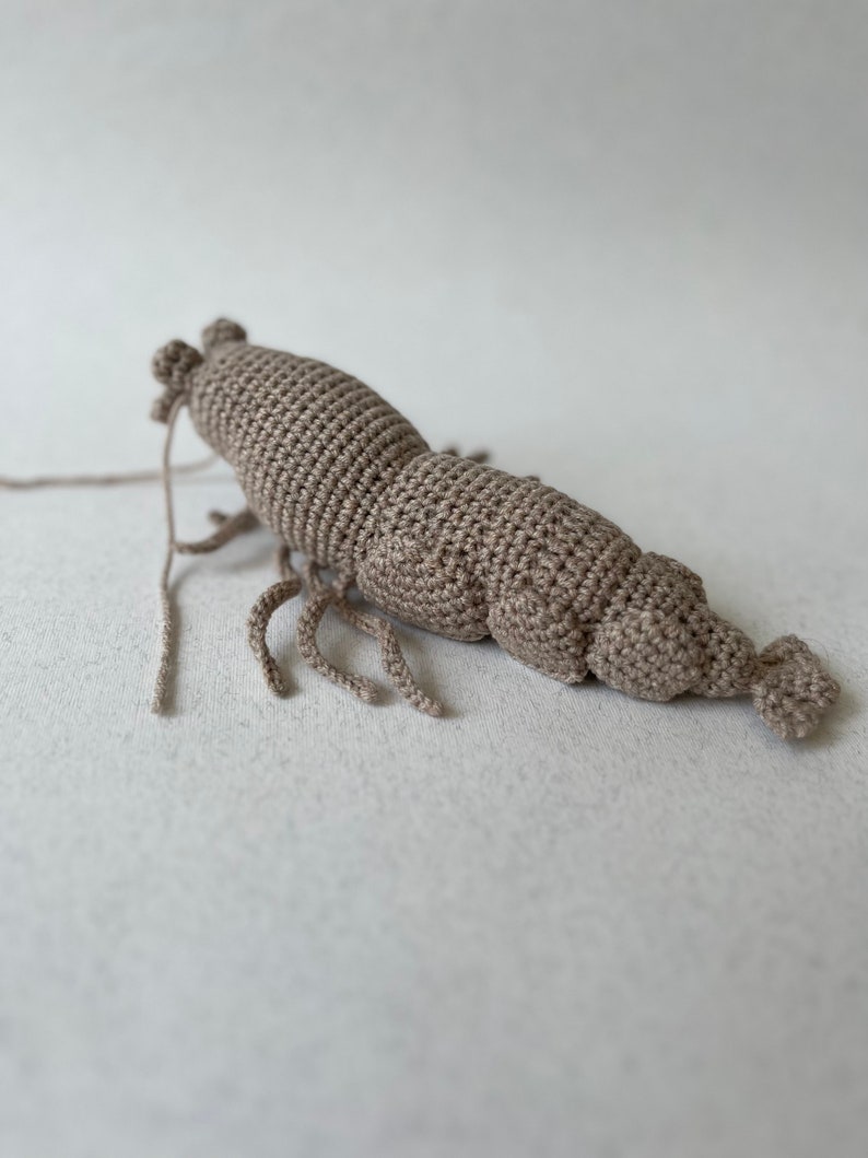 Crochet lifelike Shrimp, Prawn Pattern, PDF file in English language image 4