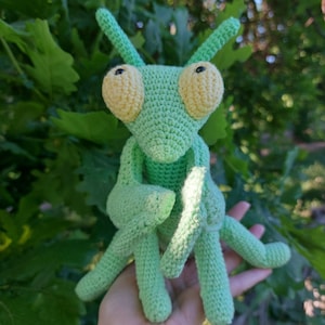 May include: A green crocheted praying mantis toy with yellow eyes. The toy is sitting on a hand.