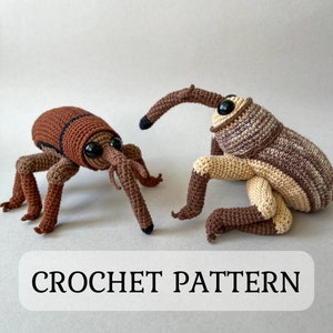 Acorn Weevil Crochet Pattern, PDF file in English, Amigurumi Weevil