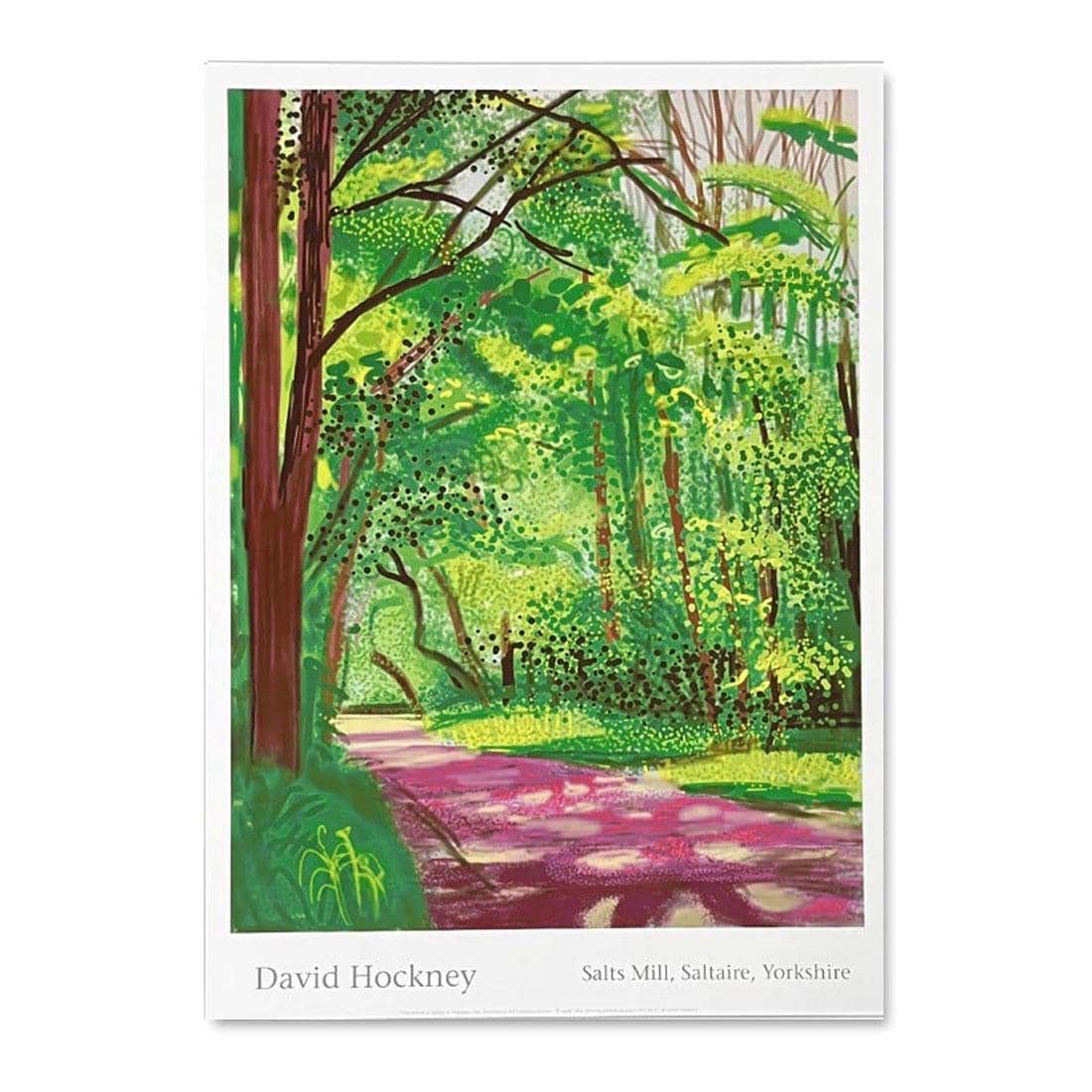 David Hockney Amaryllis in Vase - Etsy Canada