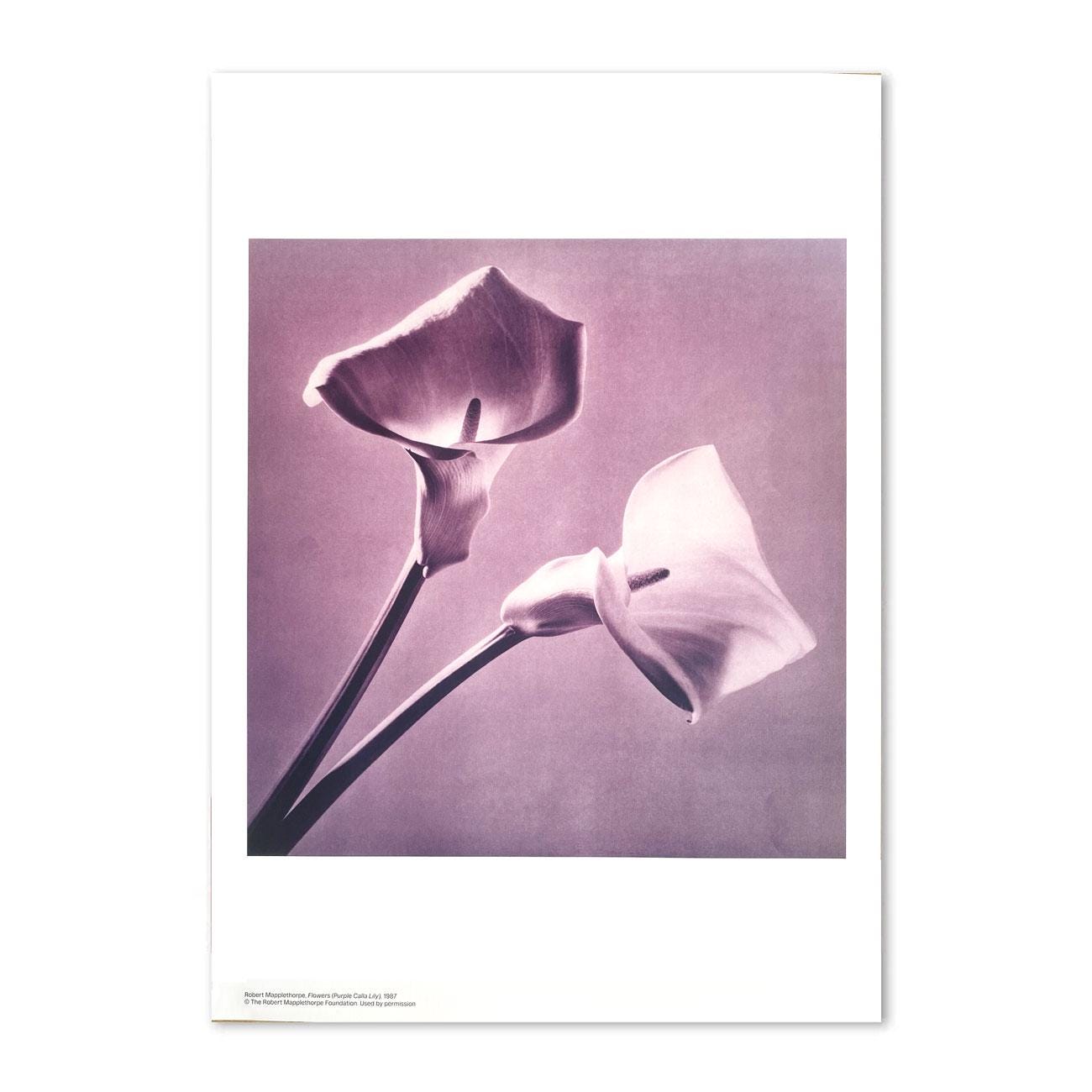 Robert mapplethorpe - Etsy 日本