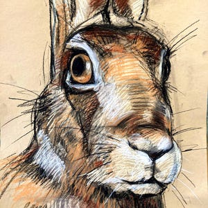Hase, Frühlingsgefühle. Kunstkarte, C6, Hase, Zeichnung
